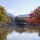 奈良公園・奈良県（2022/11/08）